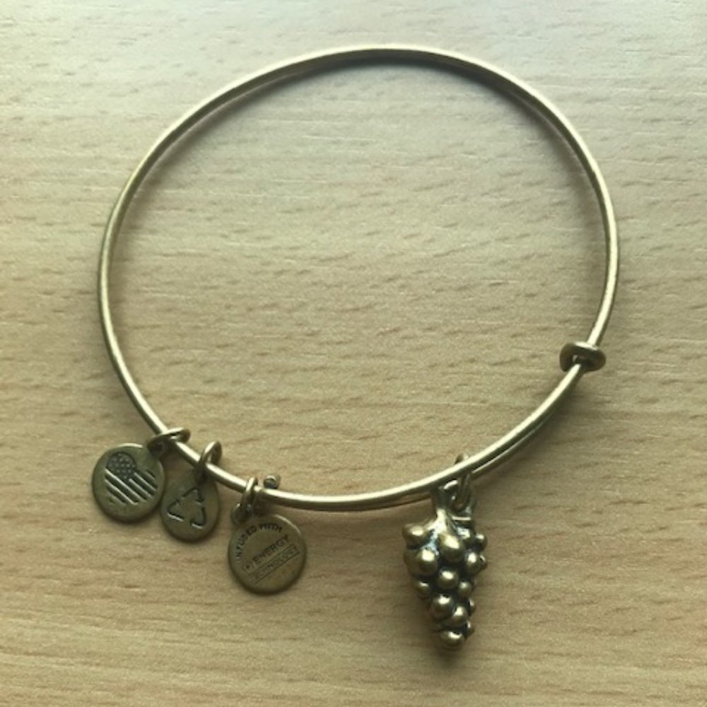 Alex and Ani Wire Bracelet with Grapes